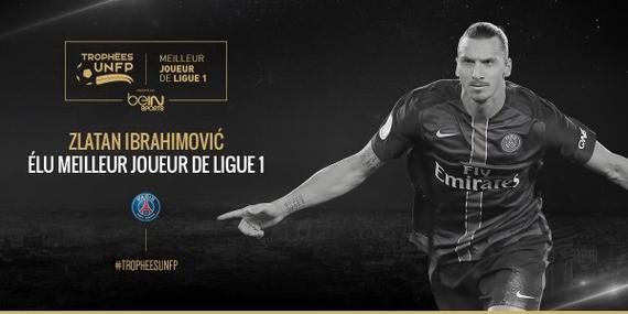 对体育组织 对体育组织