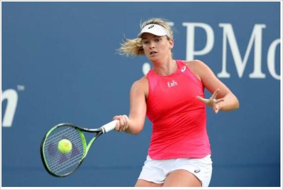 也宣告了卫 也宣告了卫