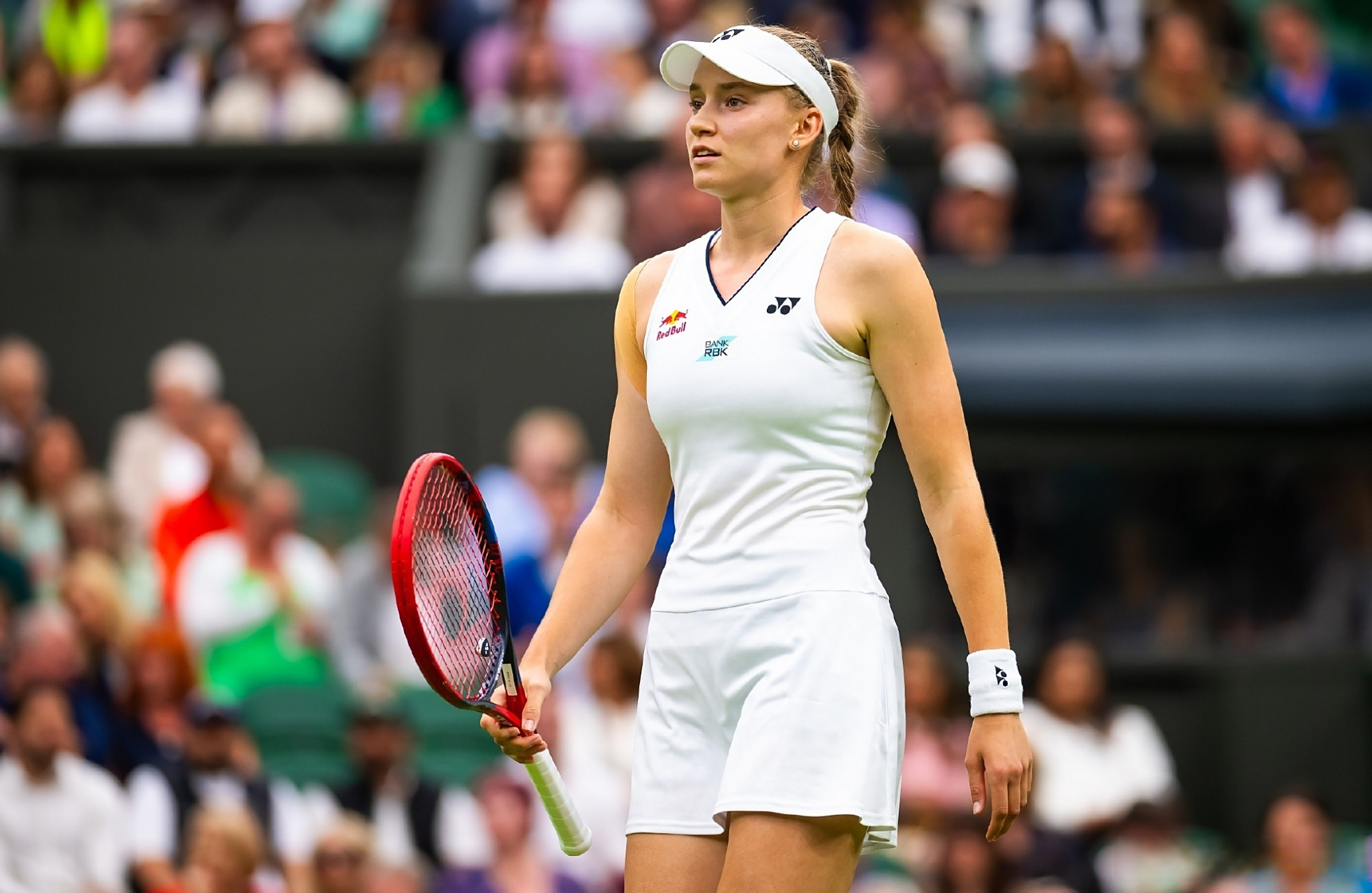 该地接待游 该地接待游