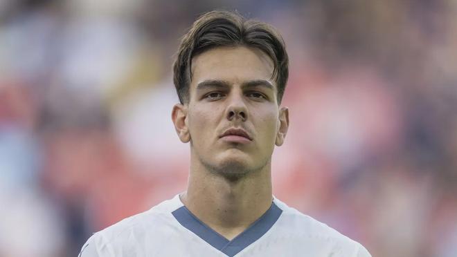 系培养的李 系培养的李